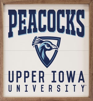 Traditional Upper Iowa University
